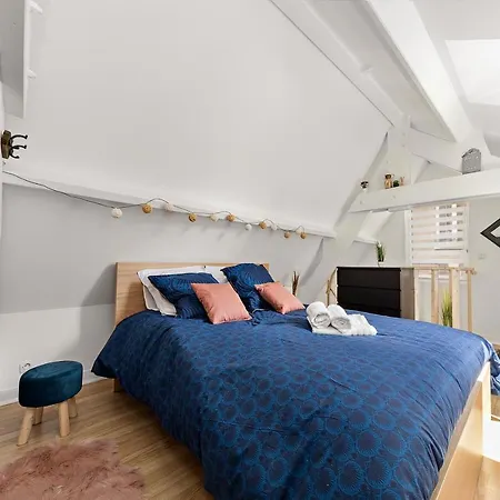 דירה /denver/cosy-centreville Rouen/netfilx-wifi/ רואן